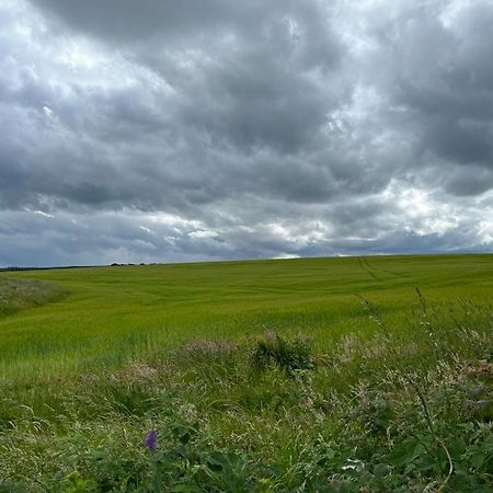 Willow Cottage Kinloss Exteriör bild
