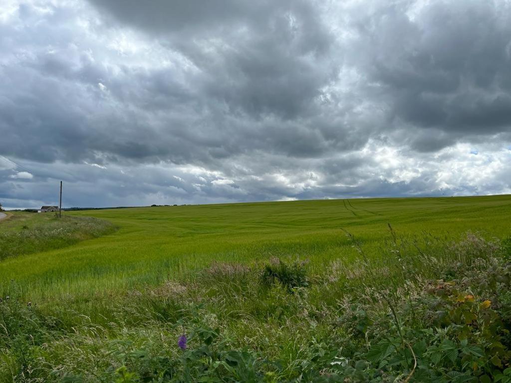 Willow Cottage Kinloss Exteriör bild
